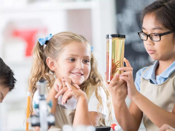 Two elementary age girls stand at a table in their school science lab.  One girl holds up a specimen jar as the other leans on the table with chin in hands.  Both have a look of wonder.